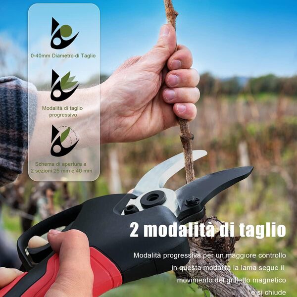 Laecabv Ciseaux de taille électriques de 40 mm progressifs ciseaux de taille à batterie téflon revêtus lames pour olive, vignoble et jardin avec batterie 2 x 2 Ah