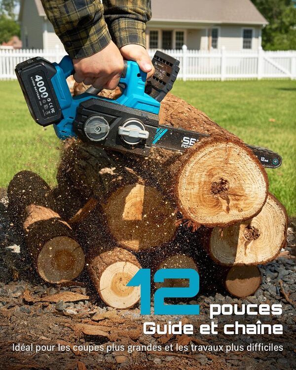 SEESII Tronconneuse a Batterie 12 Pouces, 1200W Tronçonneuse Électrique Sans Fil - 2x4Ah Batteries, Chargeur, Lubrification Auto, Tension Chaîne Sans Outil, Frein Chaîne, Coupe-Bois, Jardin et Arbres