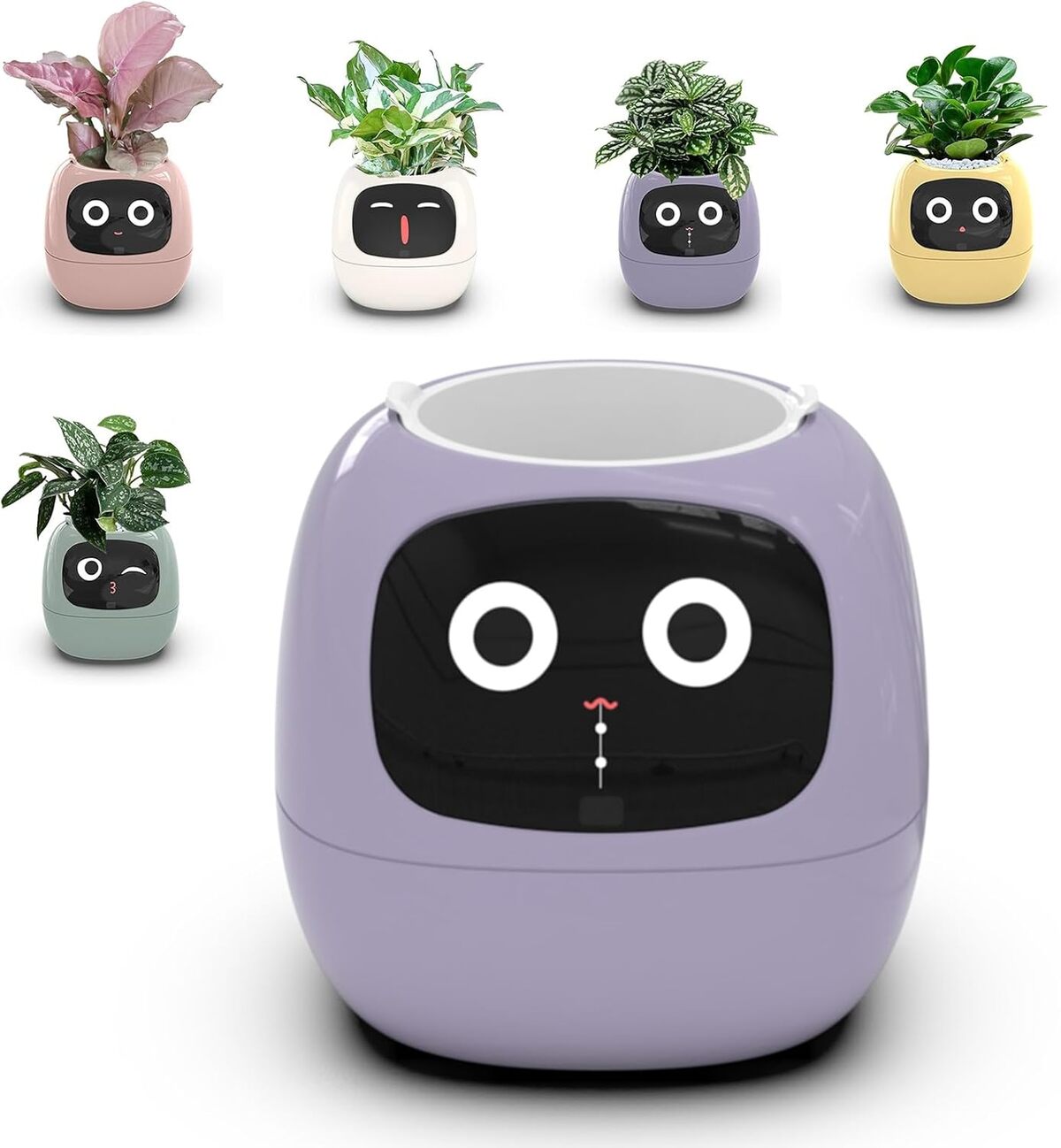 Test du pot de plante intelligent AI avec 7 capteurs et écran LCD