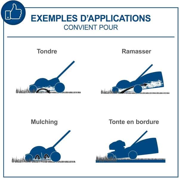 Scheppach Tondeuse à Gazon sans Fil BC-MP430-X 20V Brushless | Largeur de Coupe 43cm | 600-700m2 | Réglage de la Hauteur de 25-75mm | Panier 50L (avec 2 Batteries 4 Ah et Chargeur Double)