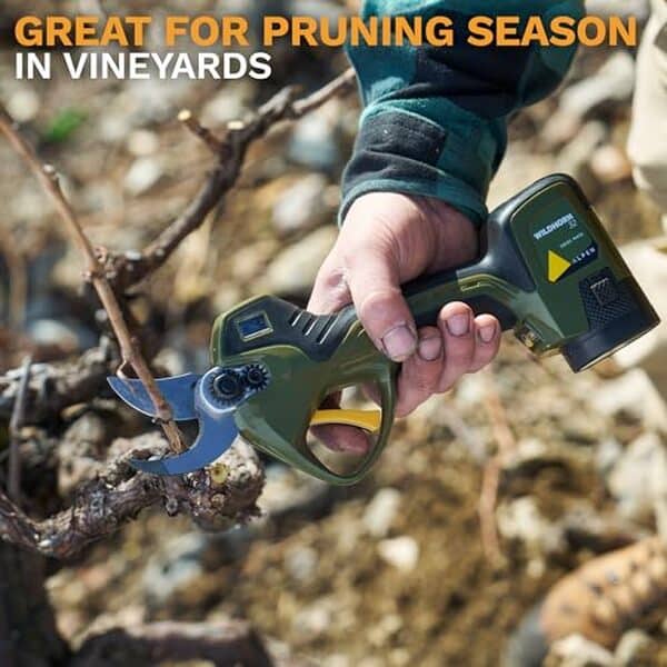 Découvrez notre test complet du sécateur électrique ALPEN Wildhorn 32 : analyse des performances, de la puissance et de la précision pour optimiser vos travaux de jardinage. Équipez-vous pour un jardin impeccable.