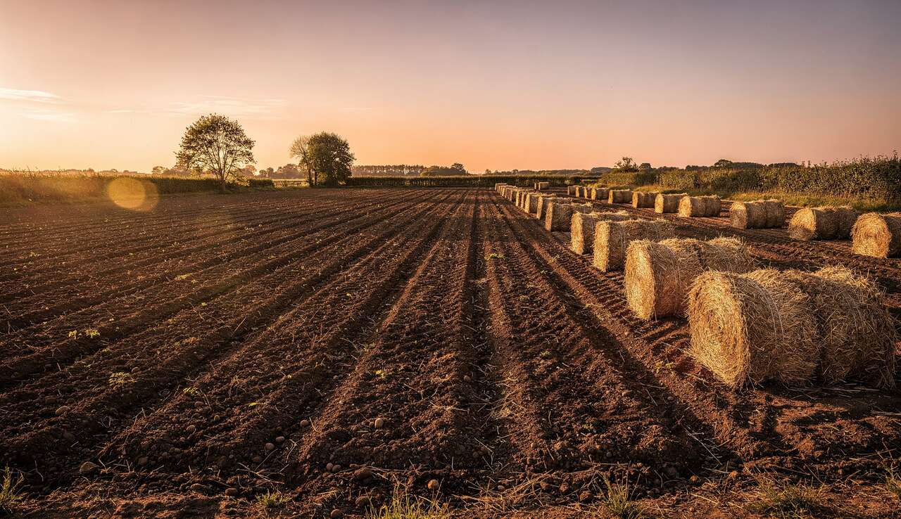 Pr&eacute;paration du sol avant la mise en place du paillage