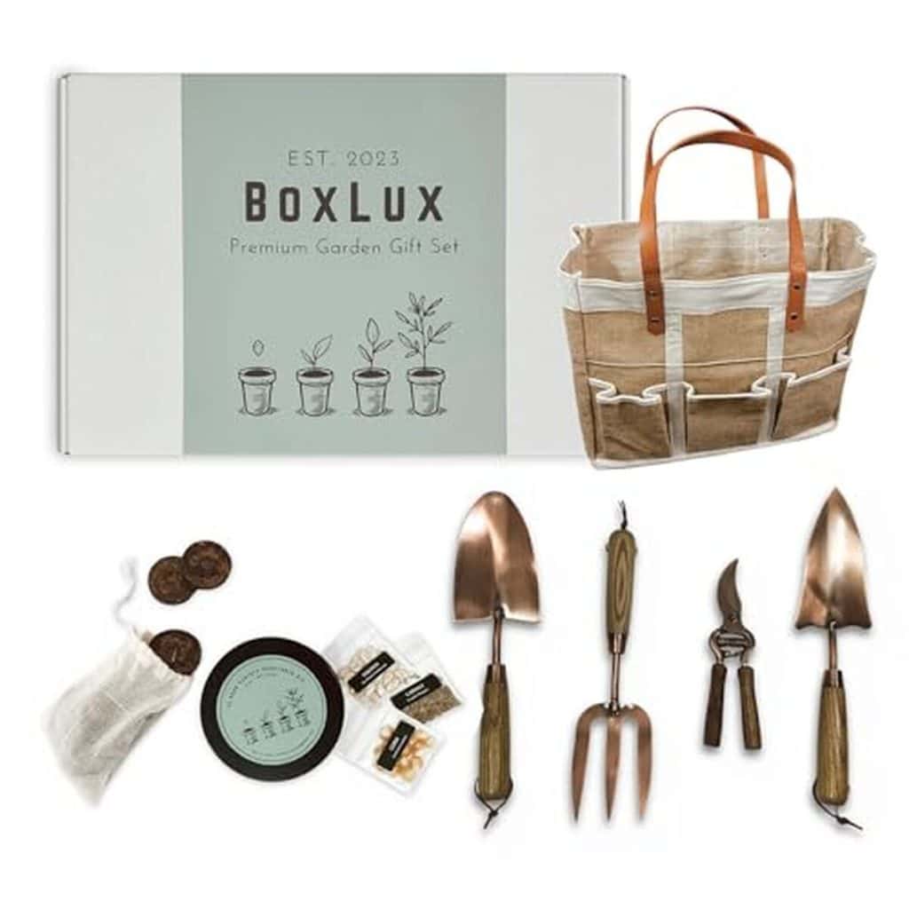 Test du coffret jardinage BoxLux : outils de qualité supérieure